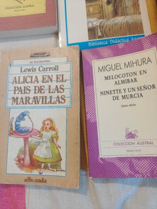 Lote de 7 Libros de Literatura