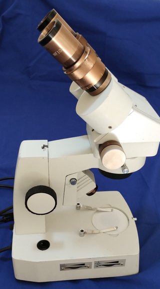 Microscopio estereoscópico con zoom