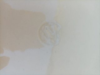 Plato Cerámica Española Vintage Pintado Mano 31ct