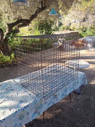 Jaula Transportín para Perros