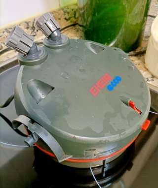 Filtro Eheim 2234 Ecco