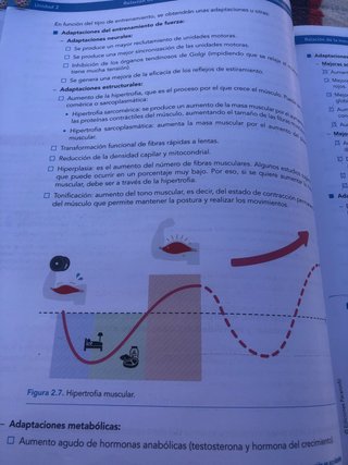 Libro escolar