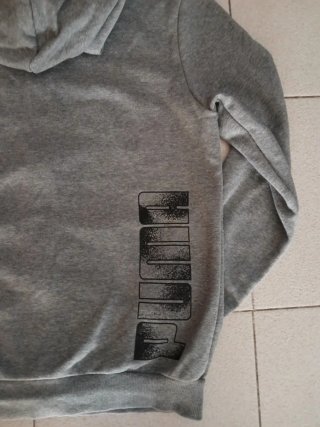 Sudadera con capucha Puma gris
