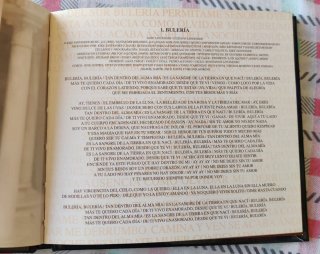 CD David Bisbal Bulería Edición de Lujo