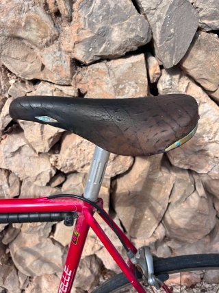 Bicicleta de Carretera Gazelle Fórmula 1