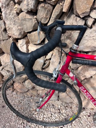 Bicicleta de Carretera Gazelle Fórmula 1