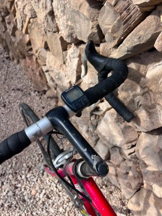 Bicicleta de Carretera Gazelle Fórmula 1