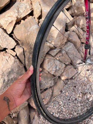 Bicicleta de Carretera Gazelle Fórmula 1