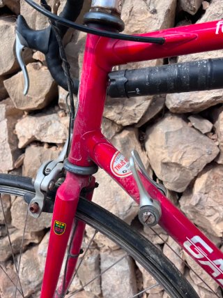 Bicicleta de Carretera Gazelle Fórmula 1