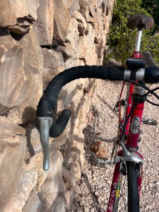 Bicicleta de Carretera Gazelle Fórmula 1