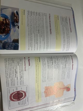 Anatomía aplicada