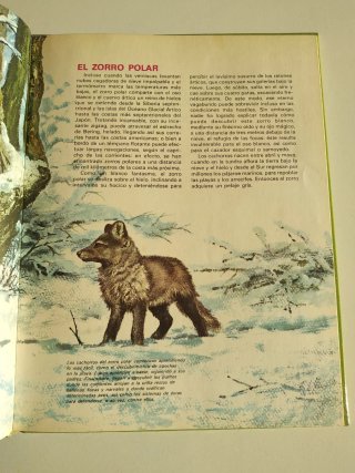 Lote de 2 libros, animales y sus crías