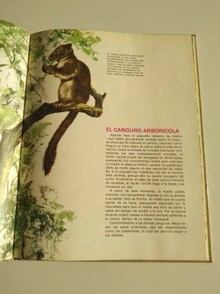 Lote de 2 libros, animales y sus crías