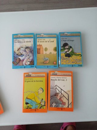 Llibres juvenil en català