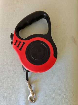 Correa extensible para perro pequeño