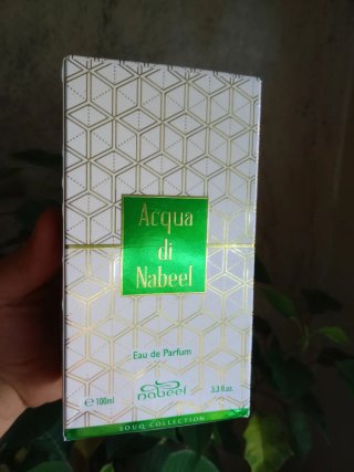 Perfume Acqua di Nabeel 100ml