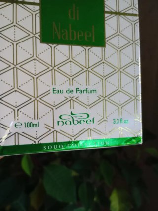 Perfume Acqua di Nabeel 100ml