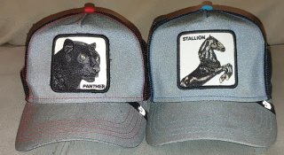 2 Gorras Goorin Bros. Stallion y Panther