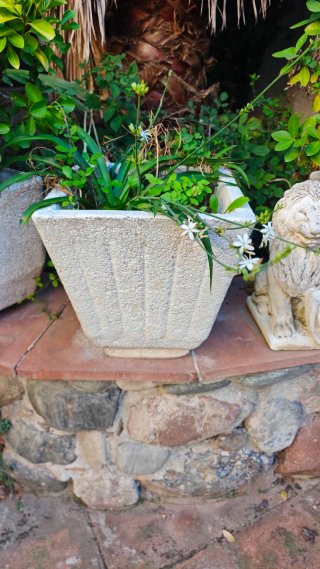 León para Jardín, maceteros, muebles varios