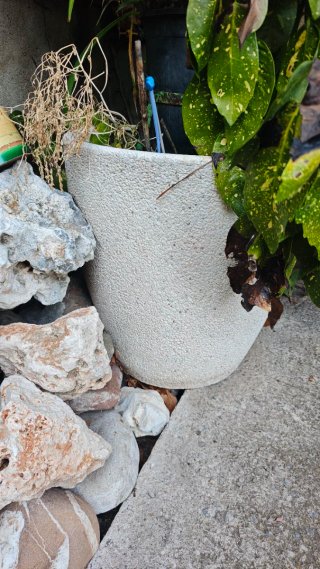 León para Jardín, maceteros, muebles varios