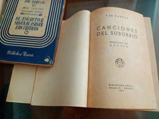 Canciones del camino. El escritor según él y...