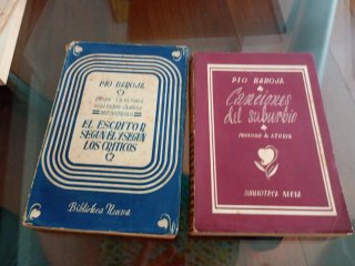 Canciones del camino. El escritor según él y...