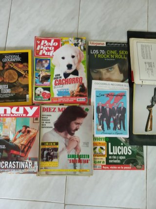 25 Revistas varios títulos