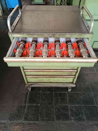 TALLADORA ENGRANAJES MODUL ZFWZ 250/5