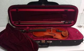 Viola Sielam Cantabile 15