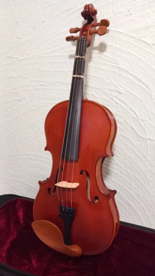 Viola Sielam Cantabile 15