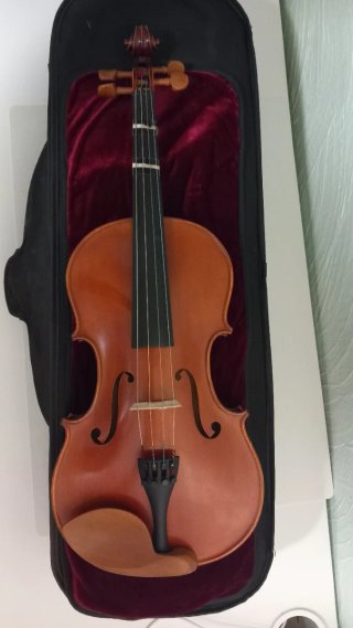 Viola Sielam Cantabile 15