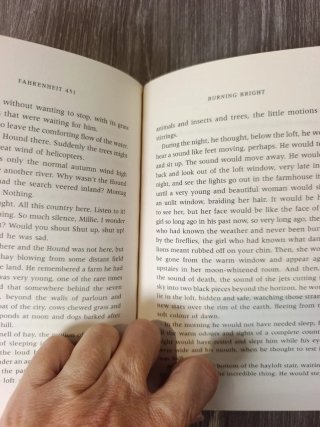 Fahrenheit 451