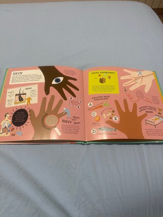 The Amazing Human Body Detectives Facts, Myths ...