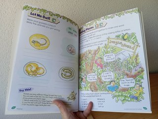 LIBRO JUEGOS INFANTIL INGLÉS YEAR 2 SCHOLAR NUEVO.