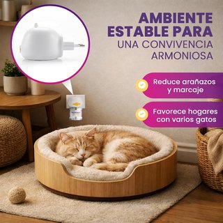 Feromonas para Gatos PureVet + 2 Recambios Calma
