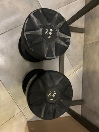 Set de 2 Mancuernas de 22,5 kg