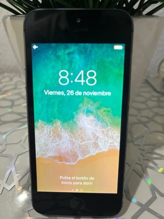 iPhone 5s Space Gray