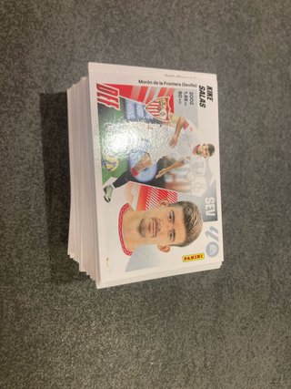 Lote de Cromos La Liga 25-26 Panini