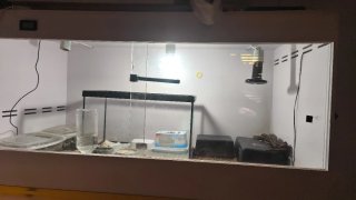 Terrario para Reptiles