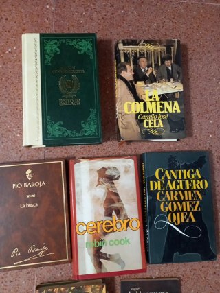 Lote libros