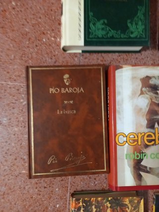 Lote libros