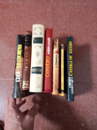 Lote libros