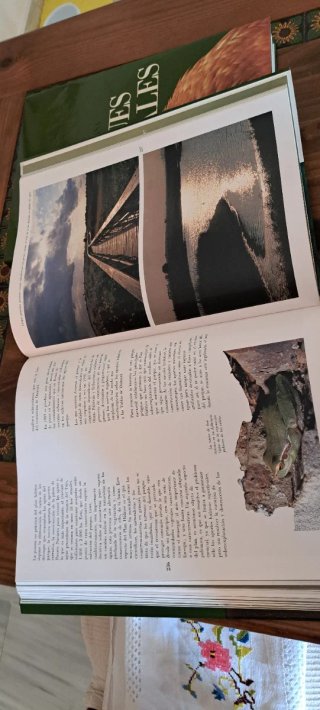 Libros naturales y nacionales