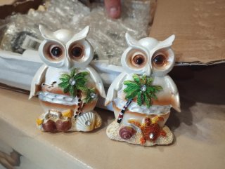 20 Calamite Gufo Mare Tartaruga Conchiglia