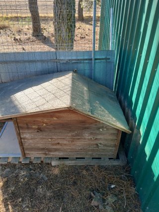 Caseta para perro de Madera