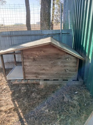 Caseta para perro de Madera