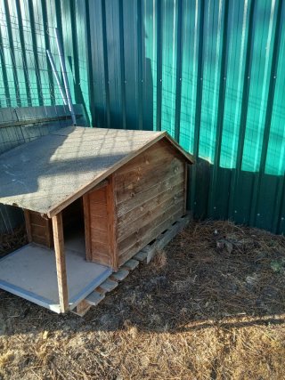 Caseta para perro de Madera