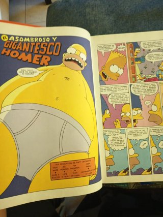 Libro Super Simpson