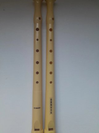 2 Flautas Escolares Hohner