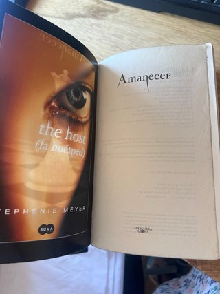 Libro Amanecer